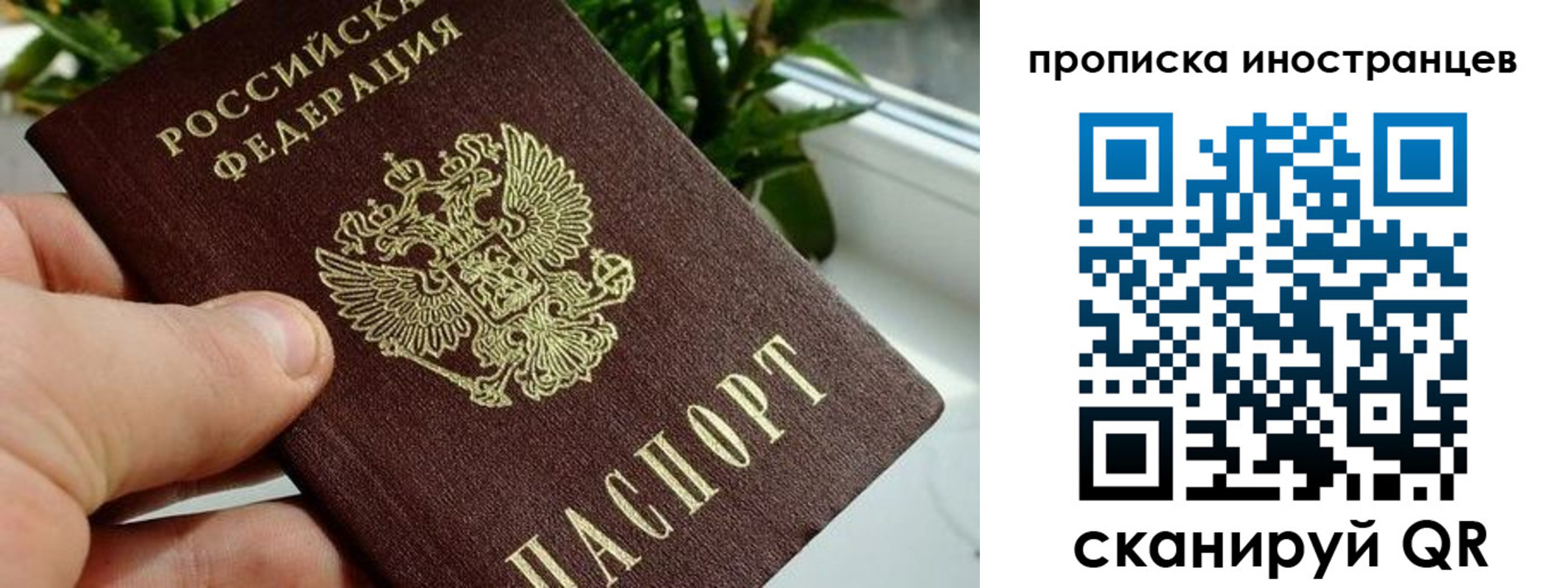 временная регистрация в Воронежской области